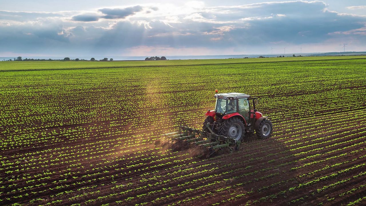 Tractor cultivating field